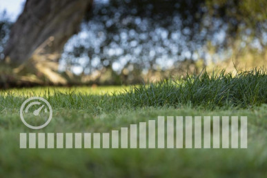 HUSQVARNA LC 551iV (bez aku. a nabíj.)