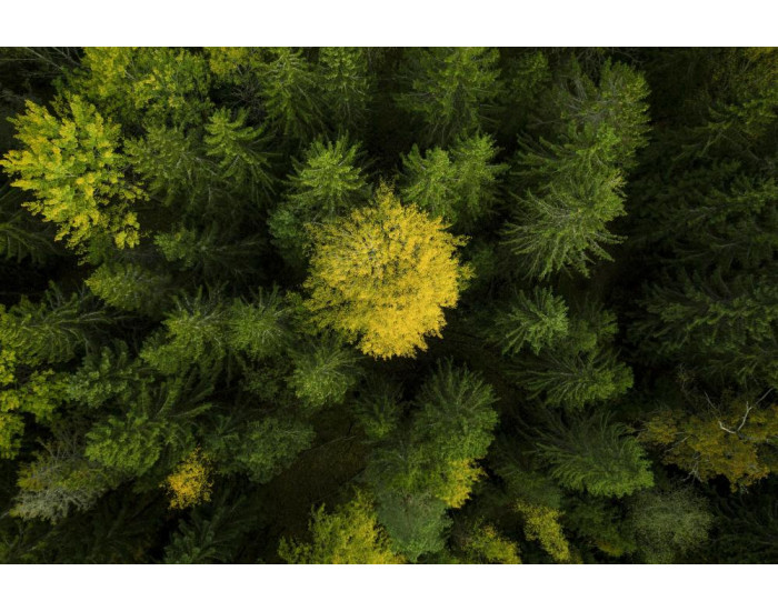 Husqvarna 120iBV s akumulátorom a nabíjačkou