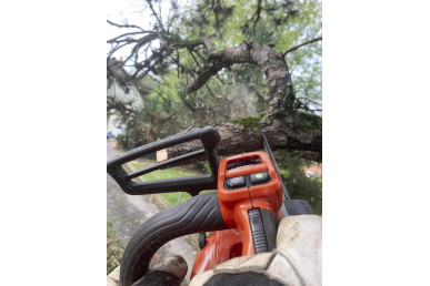 Husqvarna T542i XP® G